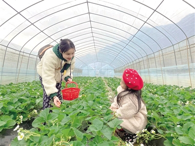  浪漫木城四季游客不斷