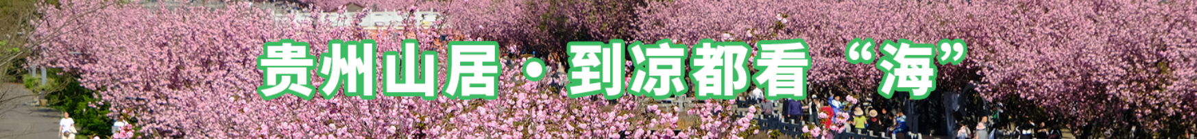  貴州山居·到?jīng)龆伎础昂！? /> 
								</a>
							</li>
							<li>
								<a href=